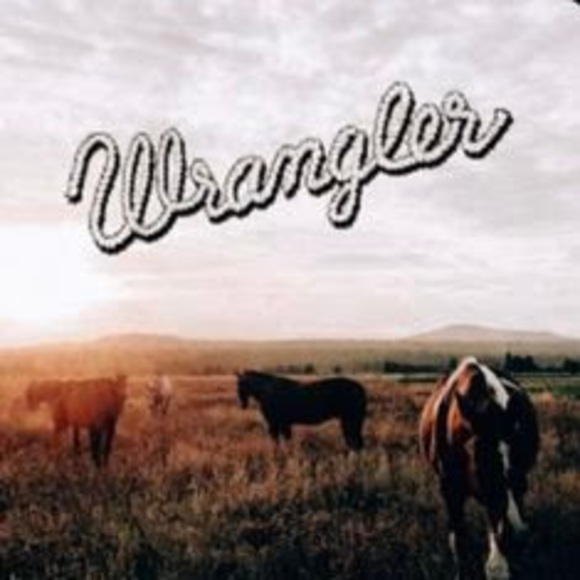 Meet your Posher, Haley - Picture 1 of 1